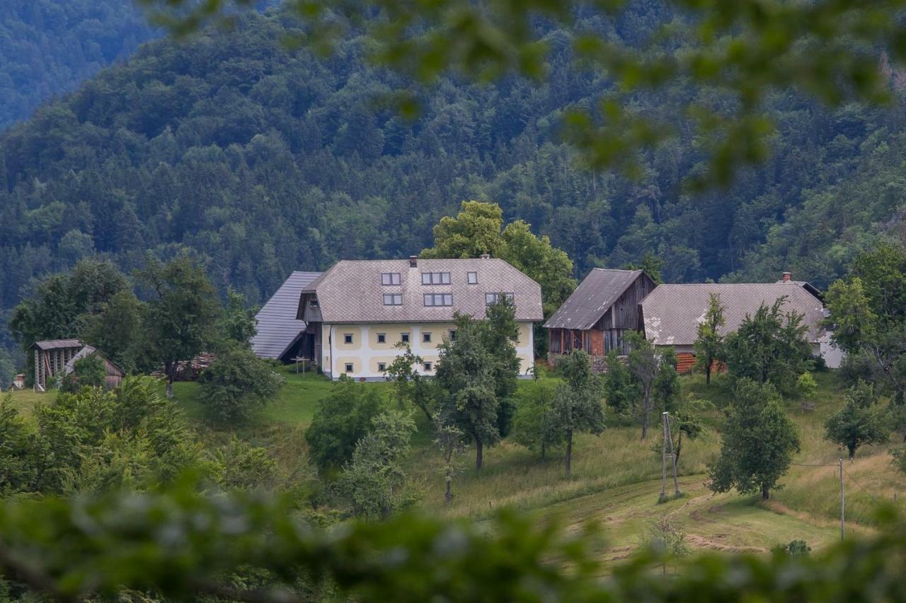 Apartment Krnicar Zgornje Gorje ภายนอก รูปภาพ