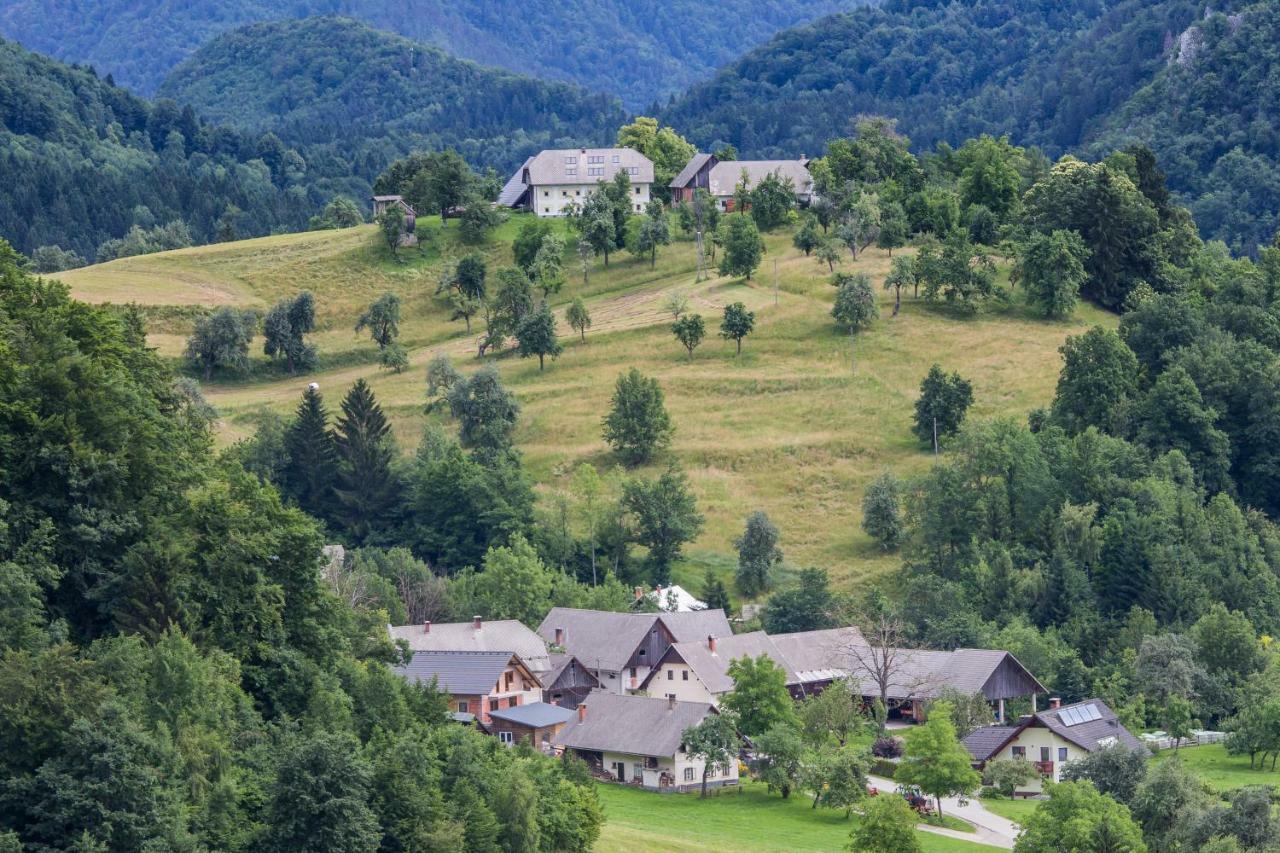 Apartment Krnicar Zgornje Gorje ภายนอก รูปภาพ